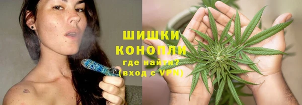 ешки Вяземский