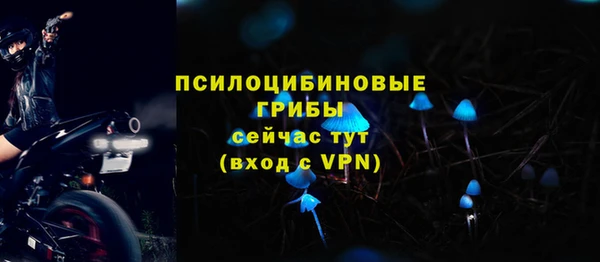ешки Вяземский