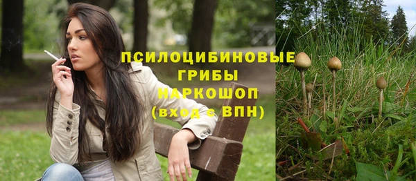 ешки Вяземский