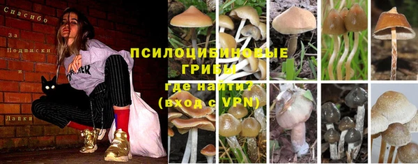 первитин Вязники