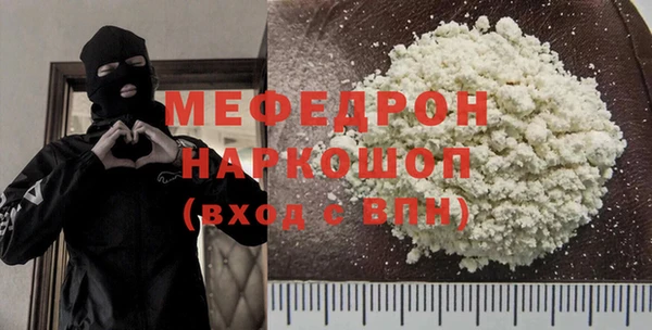 индика Бородино