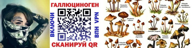 Псилоцибиновые грибы MAGIC MUSHROOMS  Донской 