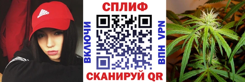 ссылка на мегу ТОР  Донской  Каннабис планчик  наркота 